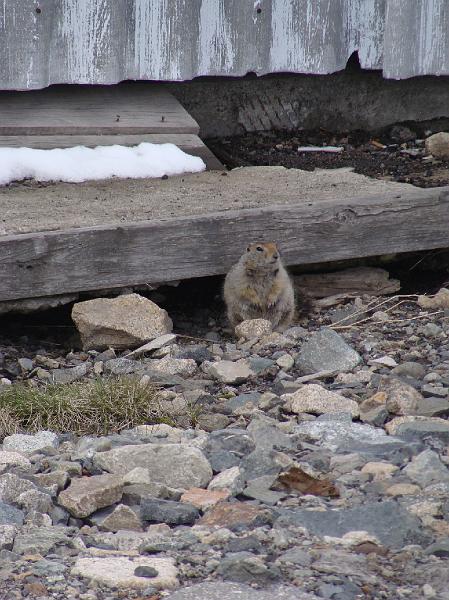 Alaska-Prov 031.jpg